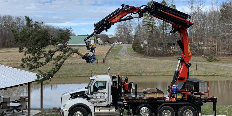 IF YOU NEED EMERGENCY TREE REMOVAL, JUST GIVE OUR TEAM A CALL TO GET OUR EXPERTS ON THE JOB.