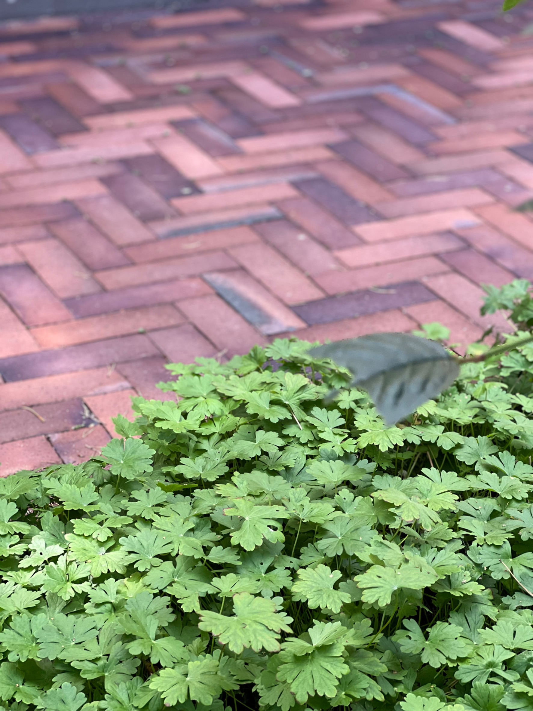 Images via Garden Oy