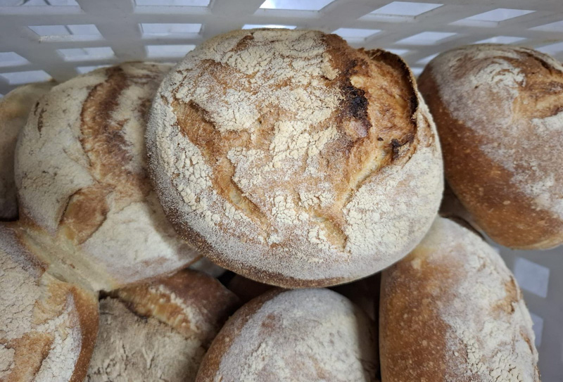 Images Panificio Antica Maidda