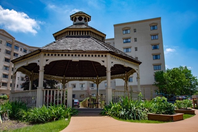 Lexington Square of Lombard Photo