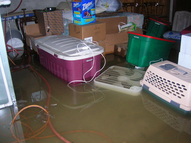 Images First Response Restoration, Water Damage Minneapolis Specialist