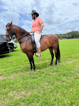 Images Events, Horses & More, Corp.