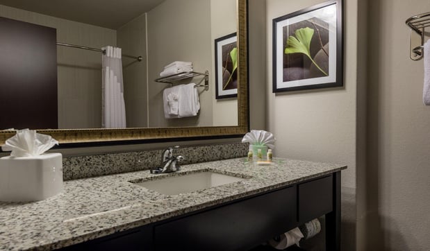 Images Holiday Inn Austin Airport by IHG