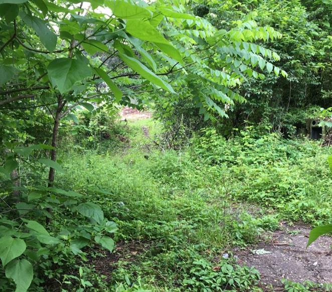 Images Parlock Property Services, LLC