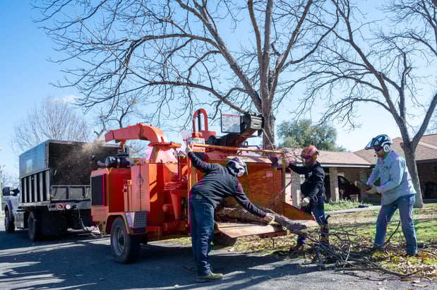 Images CBM Tree Services LLC