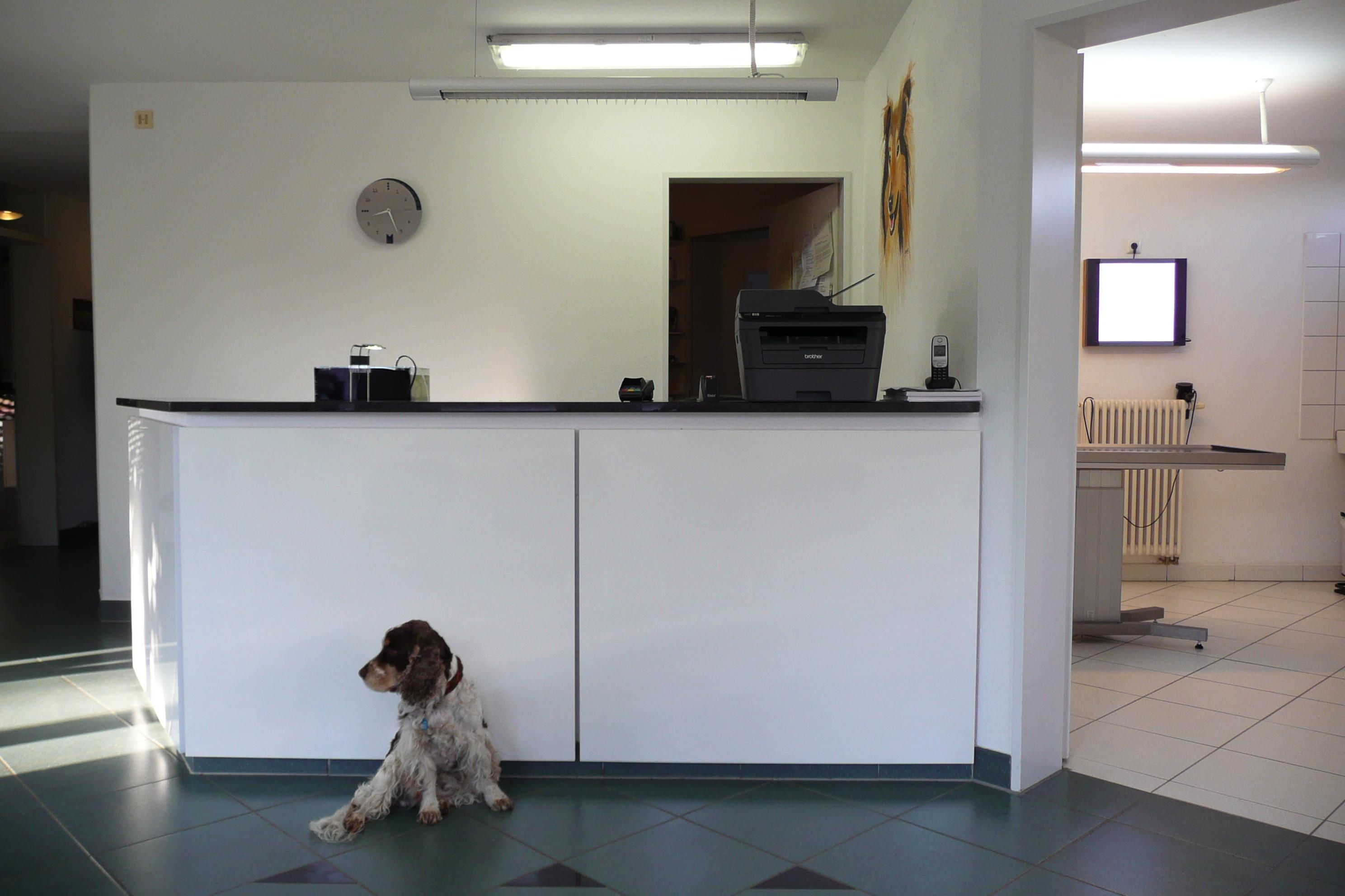 Tierarztpraxis Dr. Schmitz, Hungenerstraße 61A in Lich