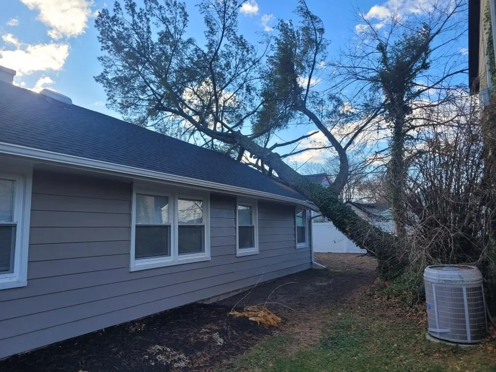 Paul's Tree Service Image