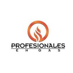 Profesionales En Gas Logo
