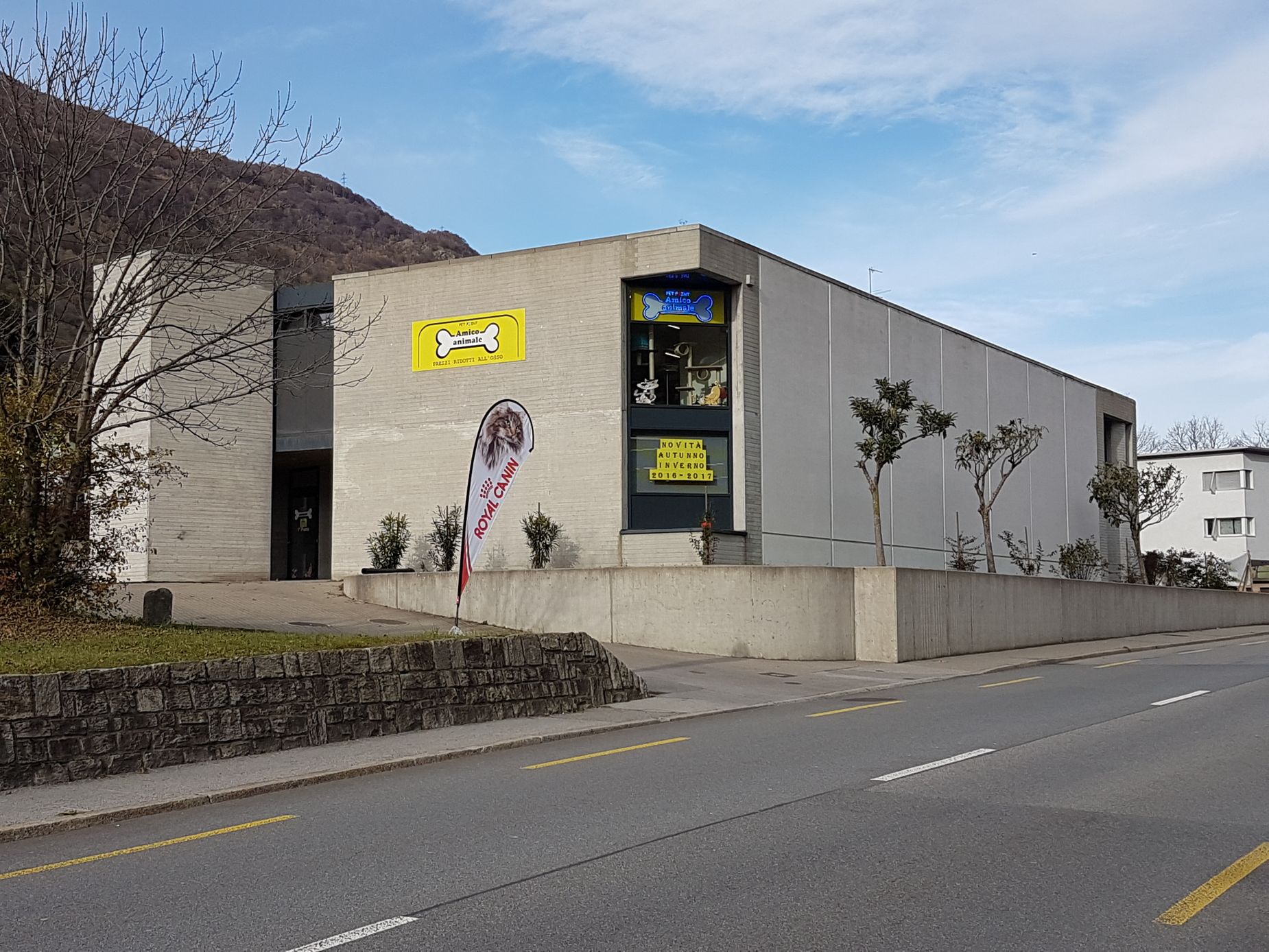 Bilder Amico Animale