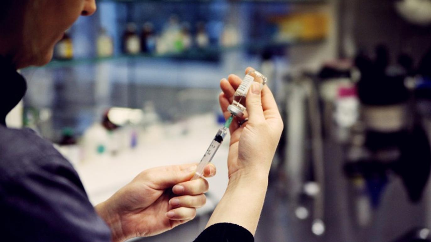 Images Dyrehospitalet 9000 ApS