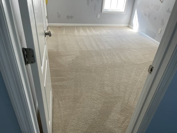 Images Best Carpet Cleaning