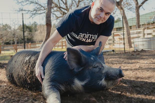 Images Animal Equality