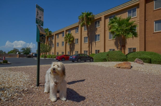 Images Holiday Inn Express Las Vegas-Nellis by IHG