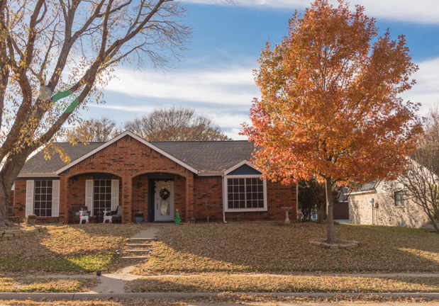 Images Elaine Miller