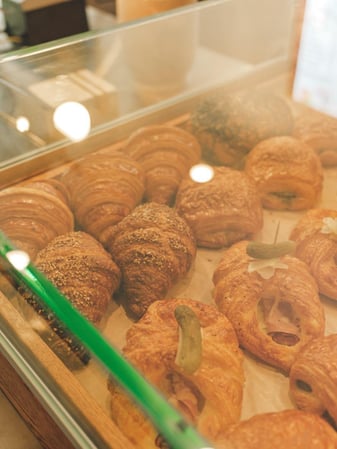 Images Jurassic Magic