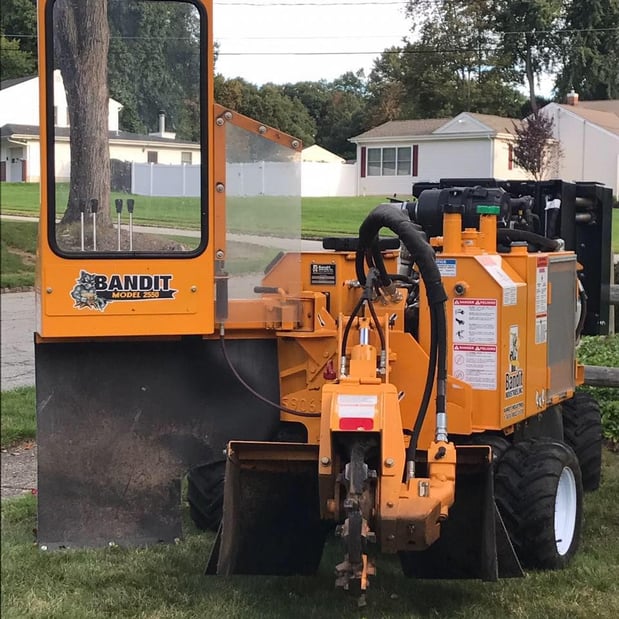 Images Ace Gallagher Stump Grinding