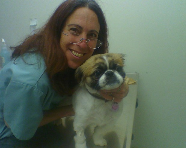 Images Spring Valley Animal Hospital