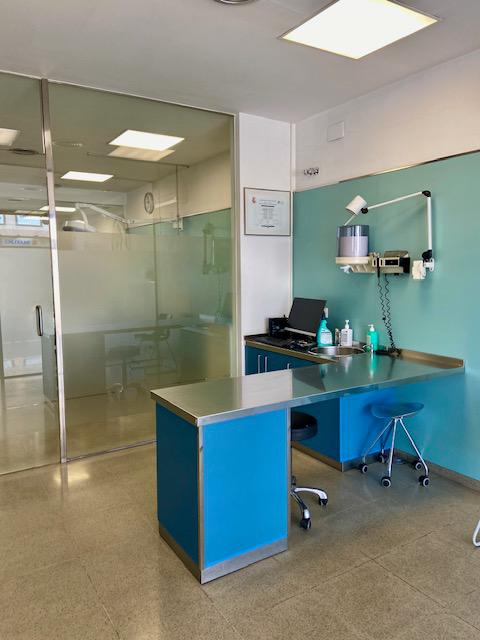 Images Vets Clinica Veterinaria