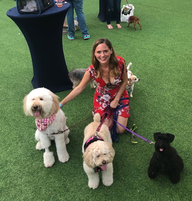 Images Pawfect Pals Miami