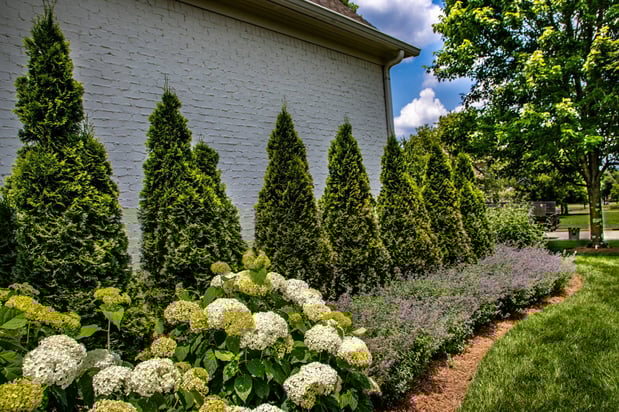 Images Annabelle Landscapes