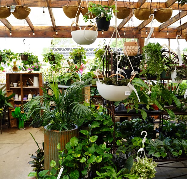 Images Green's Produce and Plants