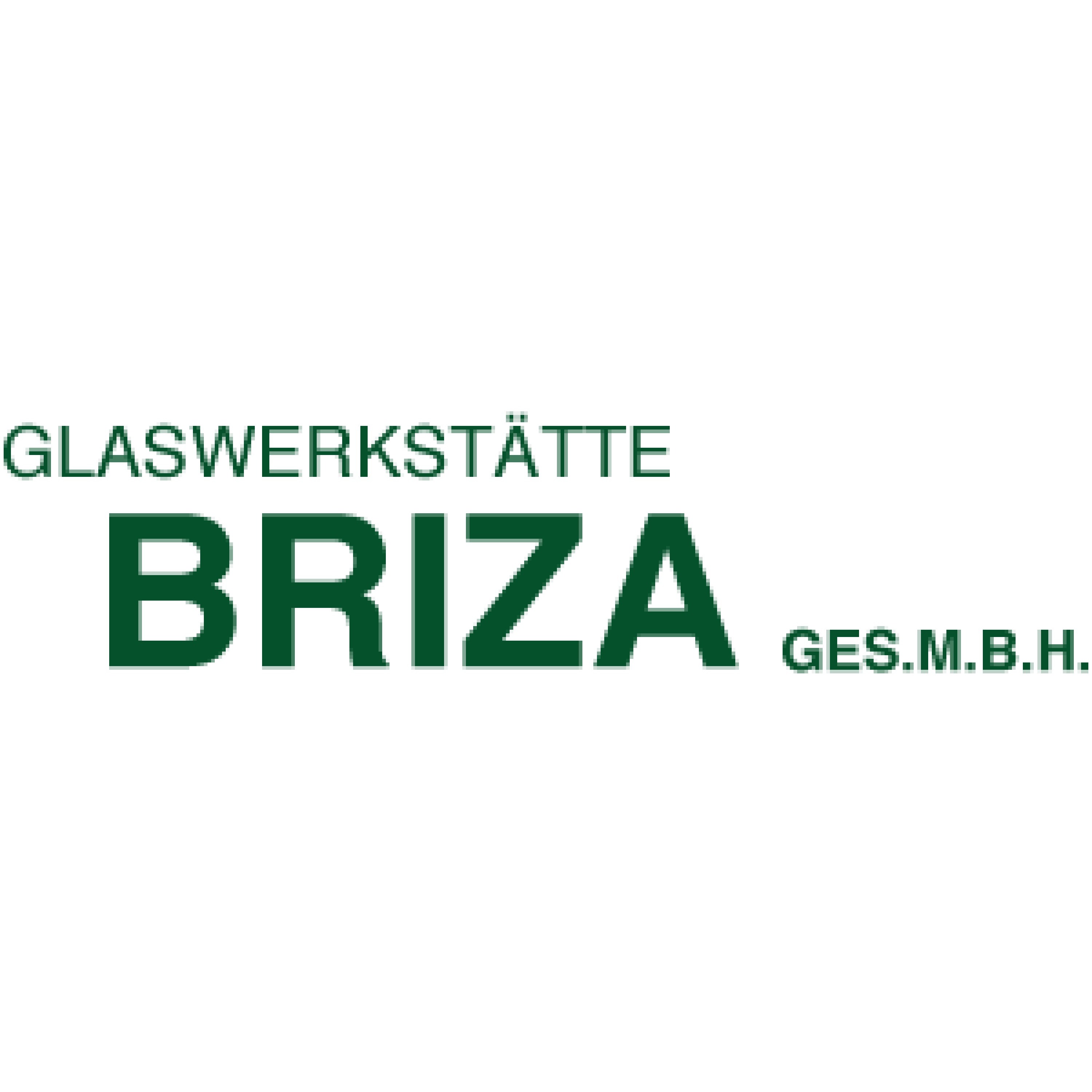 Briza GmbH Logo