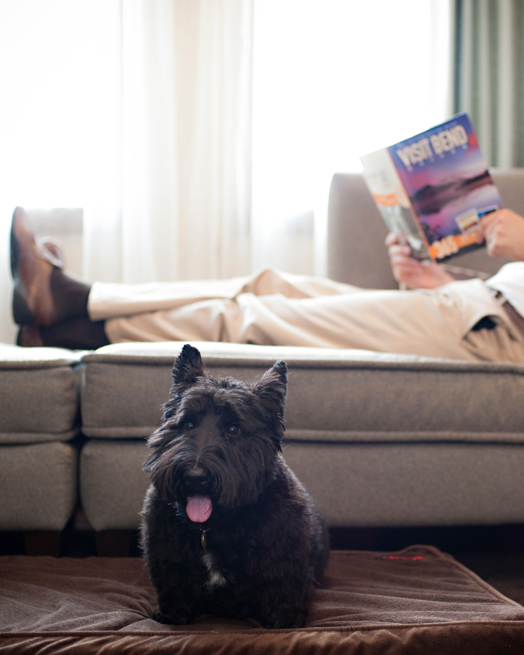 The Oxford Hotel Bend welcomes up to two pets per room during your stay at our pet-friendly Bend hotel. Contact us today to book a pet package so that Fido can join you on your trip to Bend.