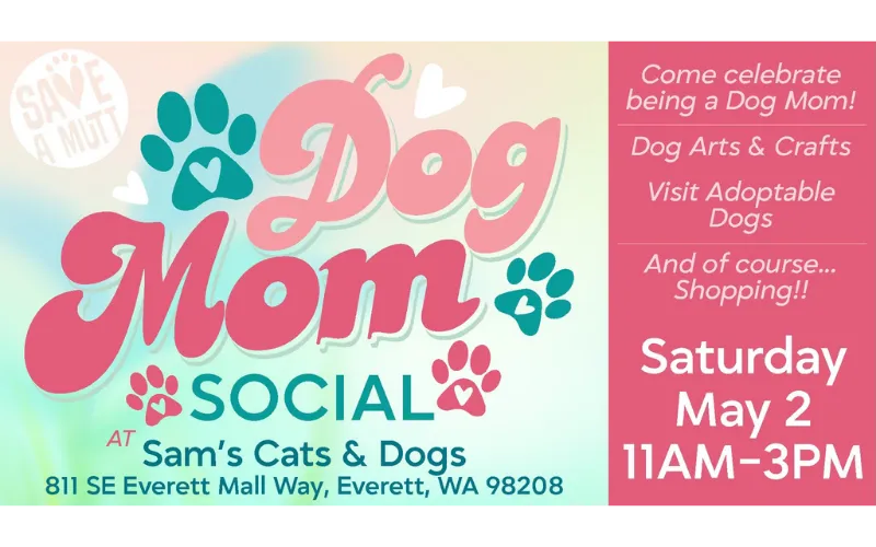 Image of Local Pet Event Dog Mom Social | Presented by Save-A-Mutt Nearby