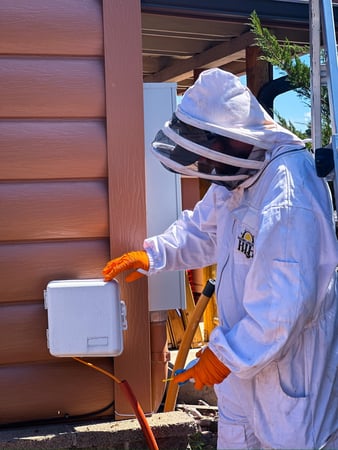 Images Crandell Pest Control