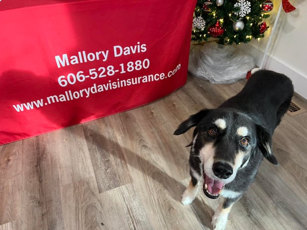 Images Mallory Davis - State Farm Insurance Agent