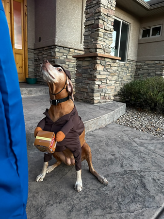 Images Sean Steimel - State Farm Insurance Agent