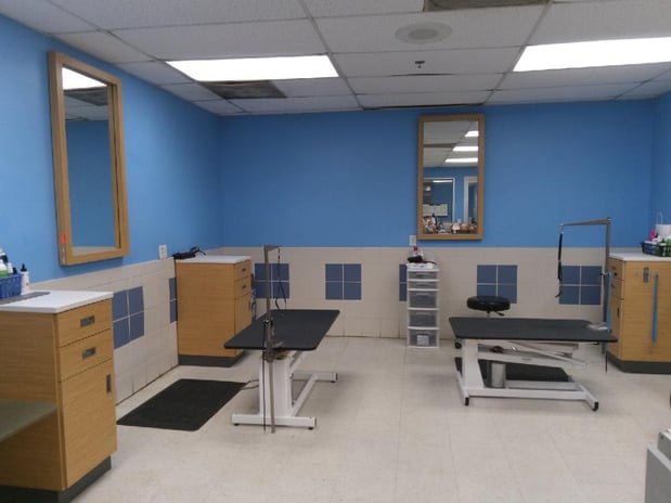 Images Petco Grooming