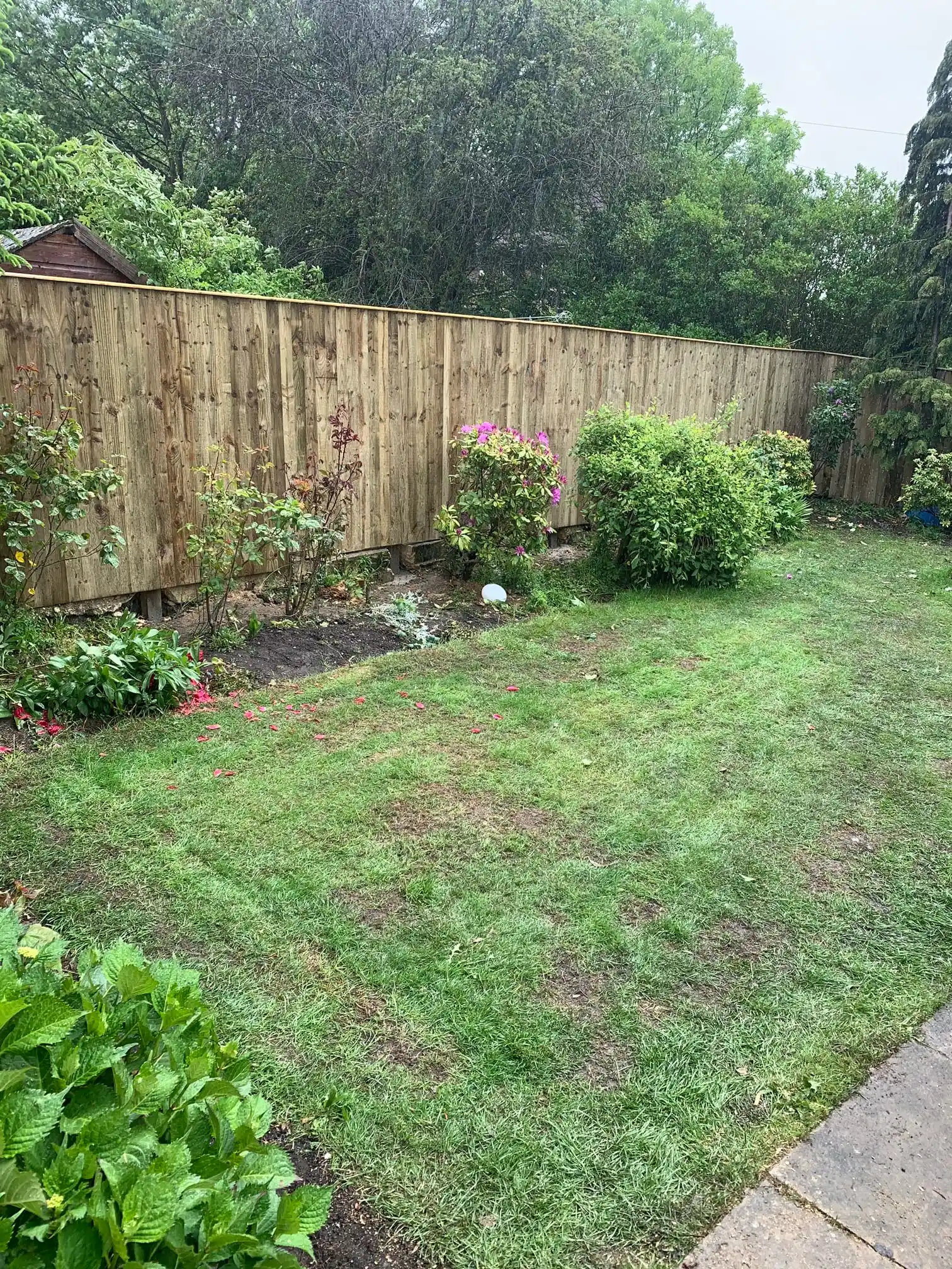 Images D & E Landscapes