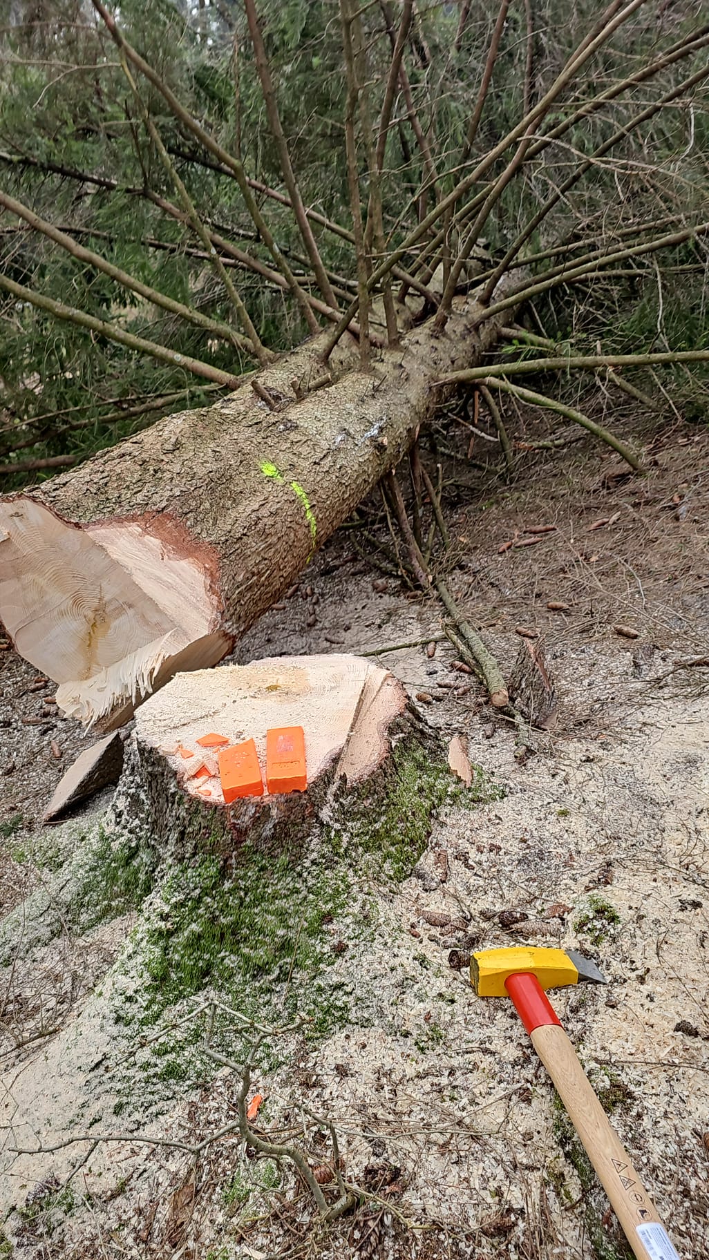 Alles rund ums Haus & Holzfällungen, Oberholzham 25 in Bruckmühl