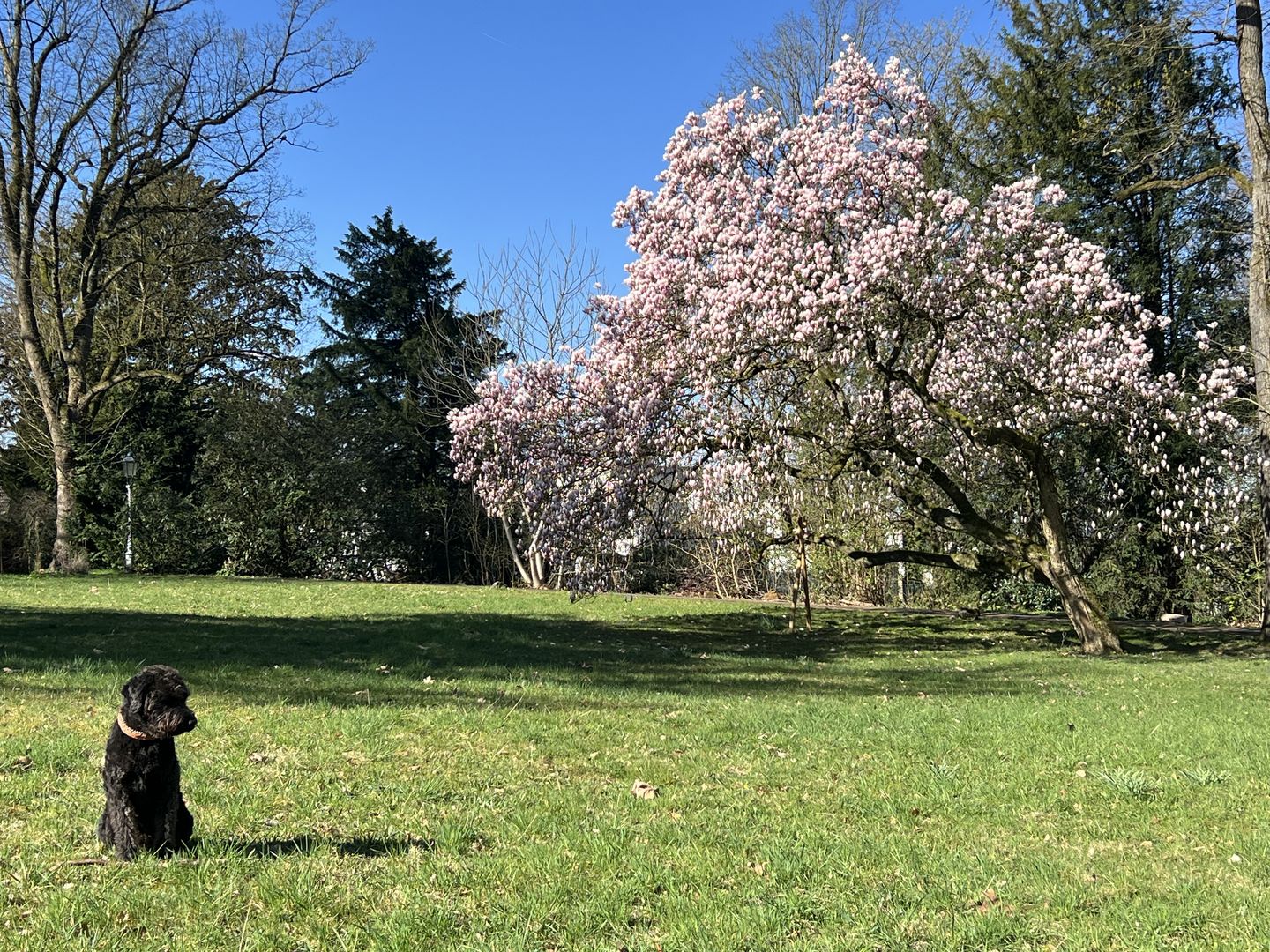 Neue Wege Hypnose-Therapie-Entspannung, Stiftstr. 24 in Wülfrath