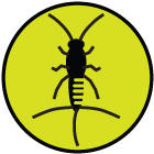 City Pest Control 8