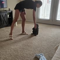 Images Canine Harmony