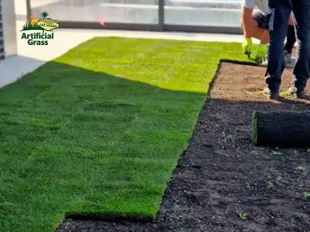 Images Las Vegas Artificial Grass