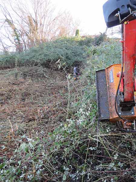 Images L'Impresa Reggiana di Giardinaggio