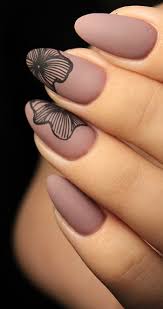 Images Sun Light Estetica Solarium