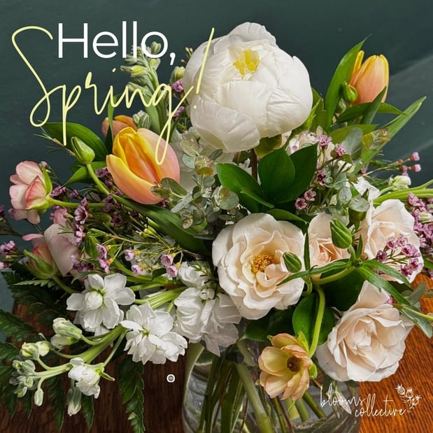 Images Blooms Collective