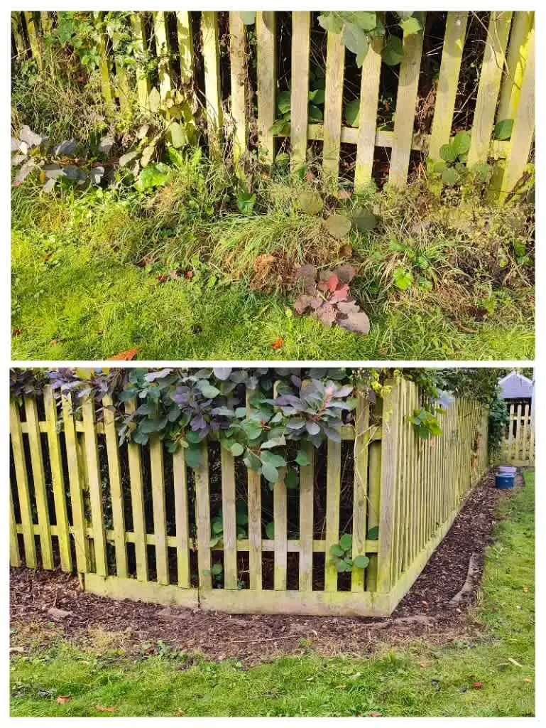 Images Clarke's Garden Care