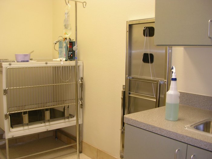 Image 2 | VCA Saginaw Animal Hospital
