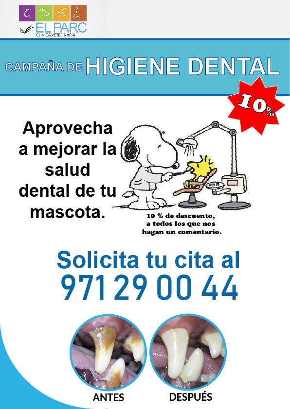 Images Clínica Veterinaria El Parc