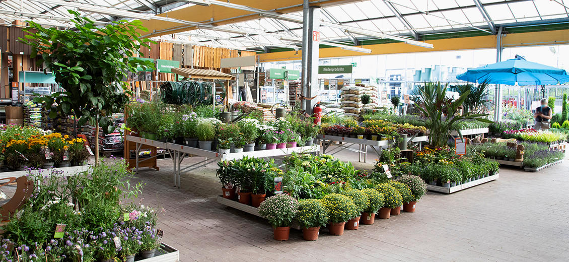 Fotos - OBI Markt Sangerhausen - 1