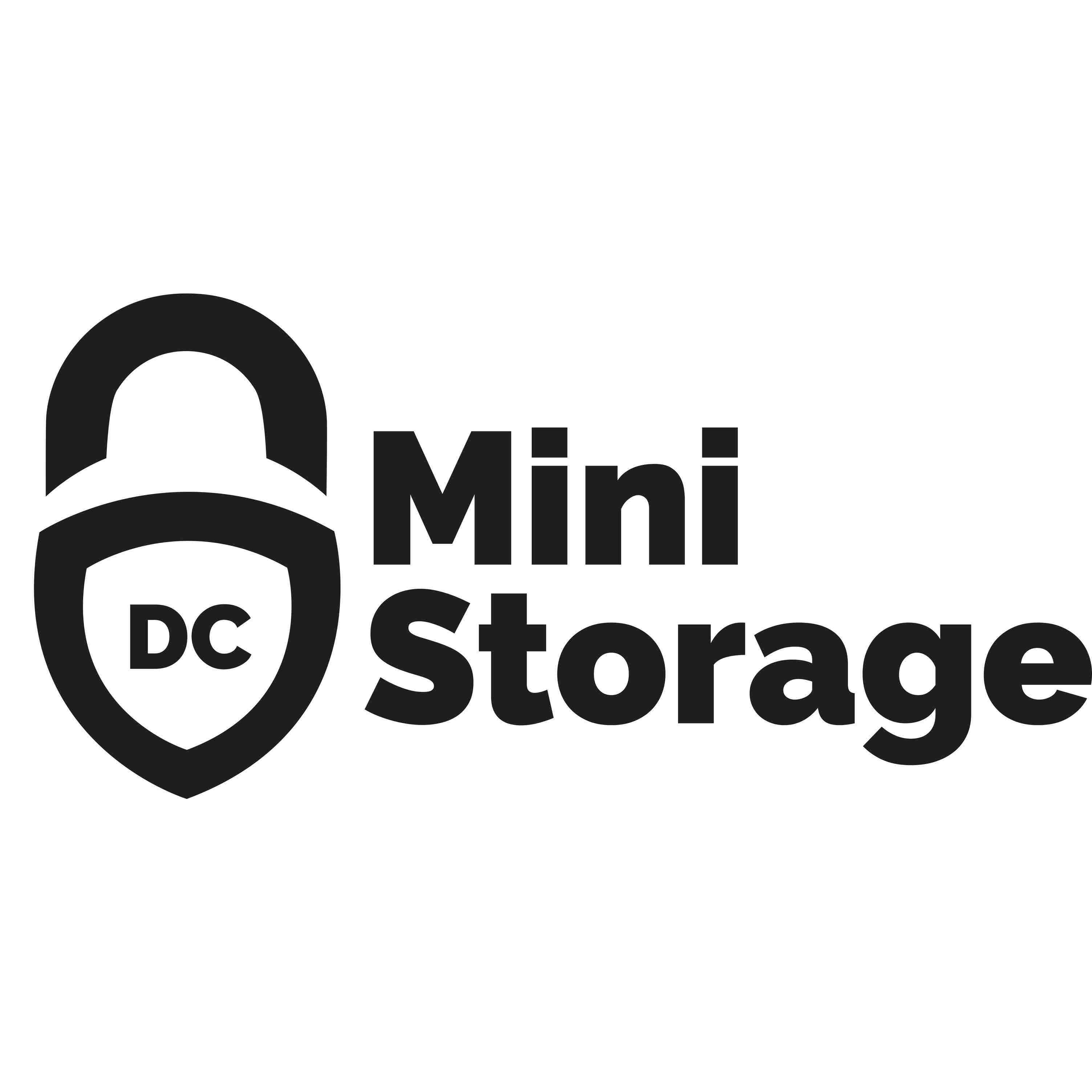 DC Mini Storage