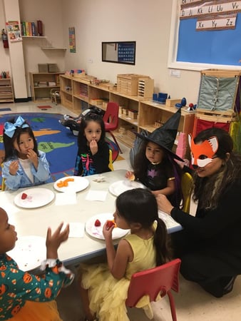 Images Teeter Toddler