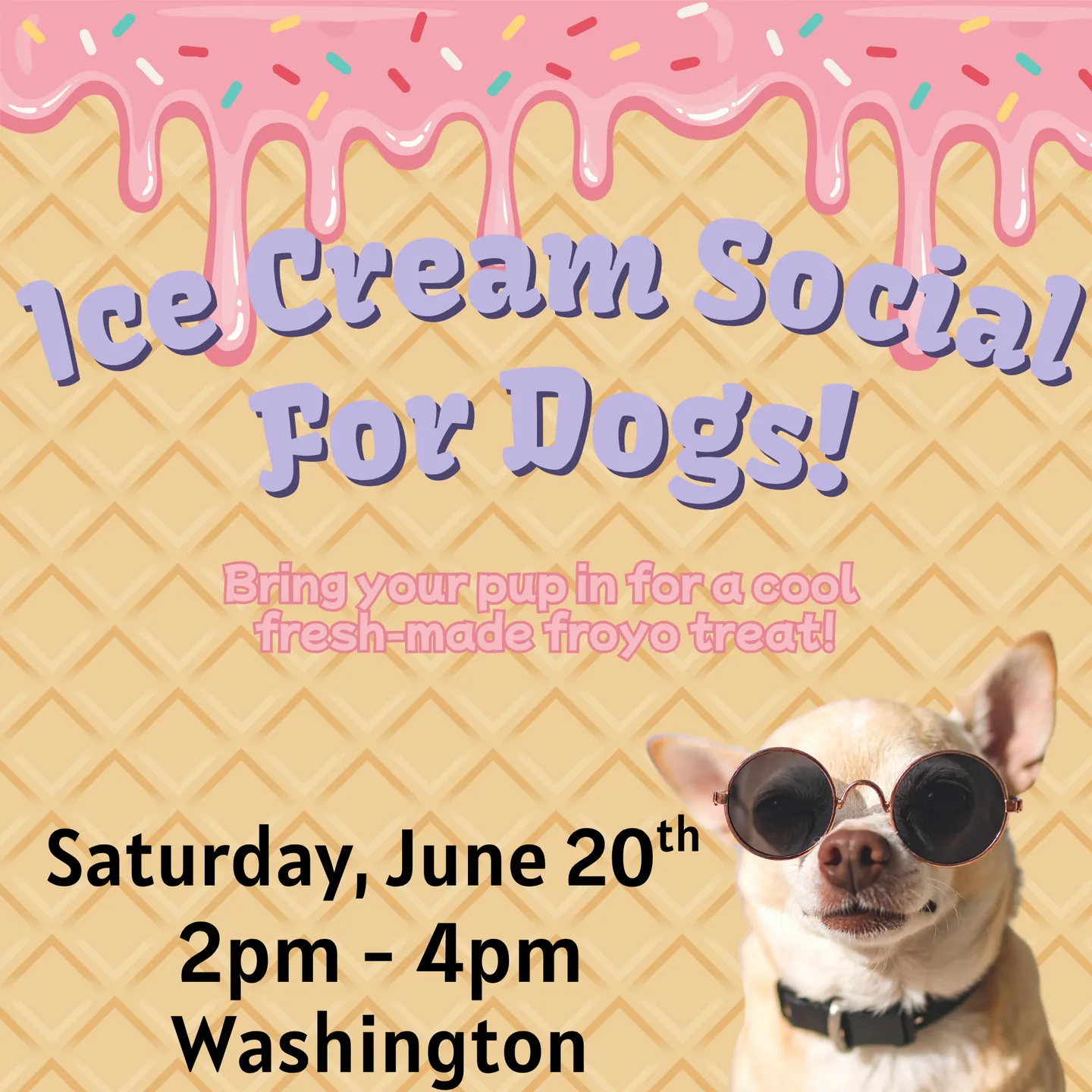 Image of Local Pet Event Doggie Ice Cream Social Nearby