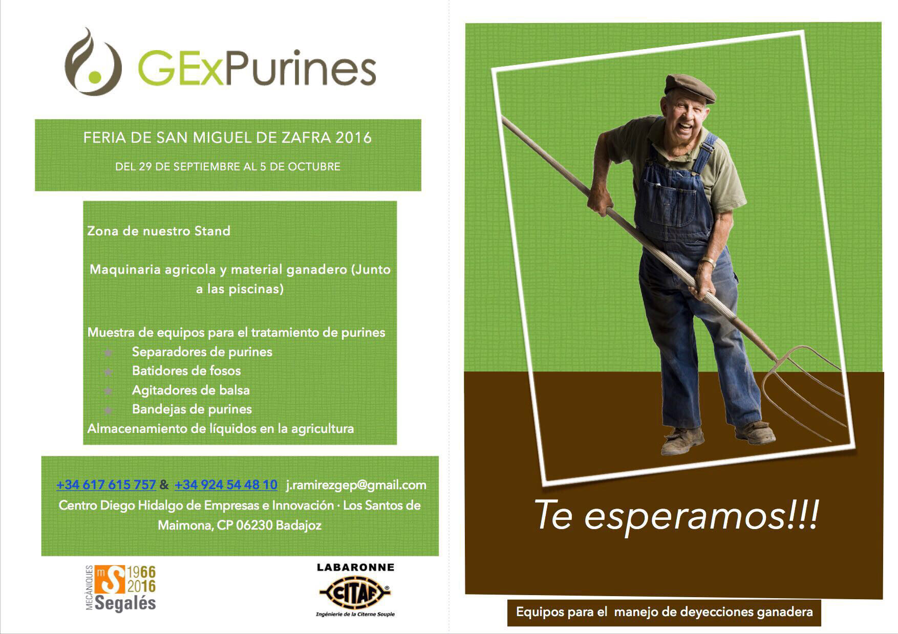 Images GExPurines