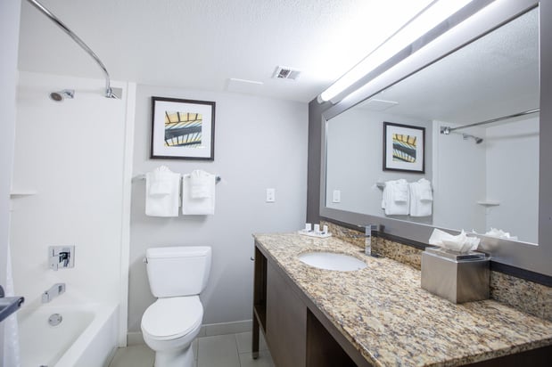 Images Holiday Inn St Louis SW - Route 66 by IHG